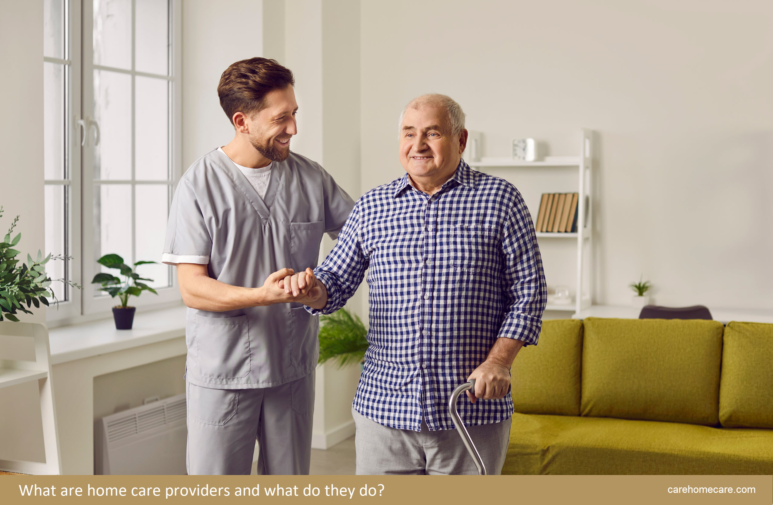 What are home care providers and what do they do?